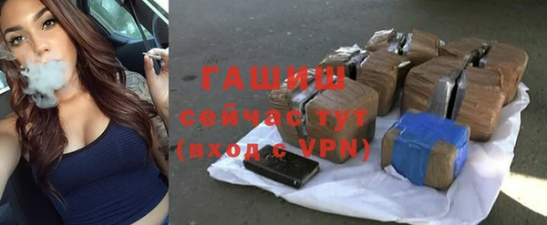 твердый Новозыбков
