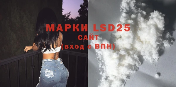 крисы Новодвинск