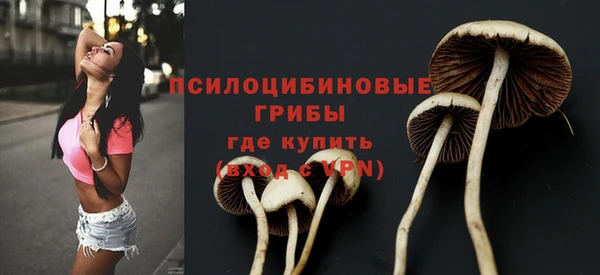 каннабис Няндома