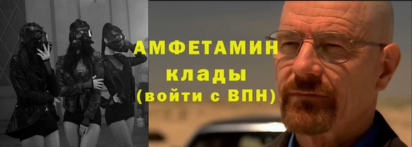 крисы Новодвинск