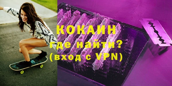 твердый Новозыбков