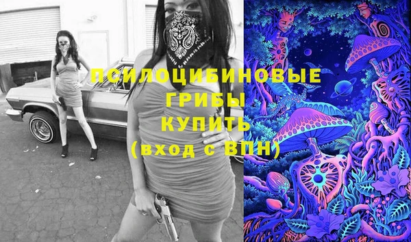 твердый Новозыбков