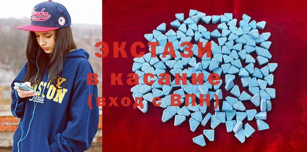 твердый Новозыбков