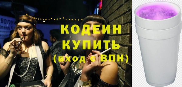твердый Новозыбков
