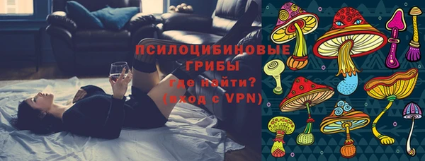 крисы Новодвинск