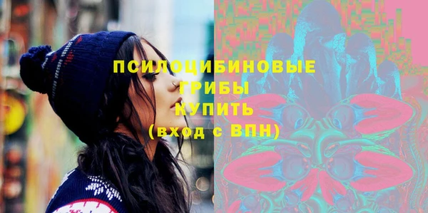 дживик Нягань