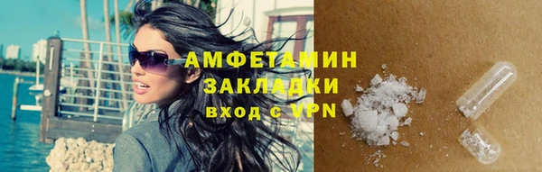 крисы Новодвинск