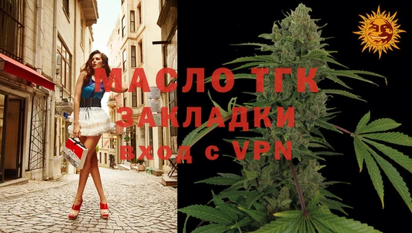 твердый Новозыбков