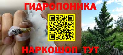 трава Дубна