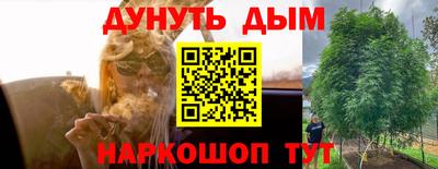 трава Дубна