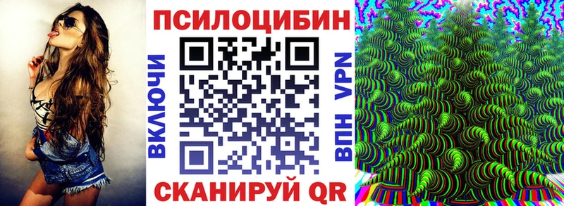 Псилоцибиновые грибы мухоморы  сколько стоит  площадка наркотические препараты  Киреевск 