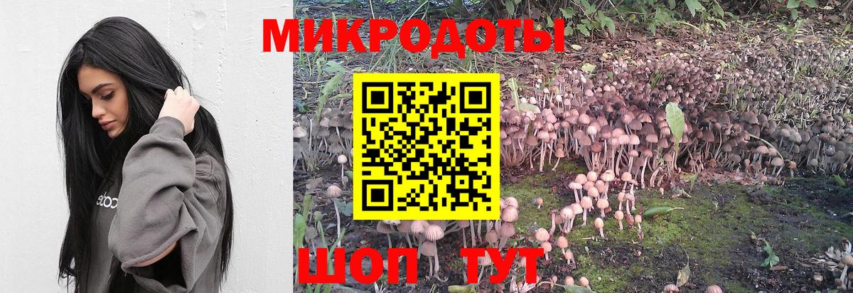 Галлюциногенные грибы ЛСД  Псилоцибиновые грибы мухоморы  хочу наркоту  Киреевск  Вход с VPN 