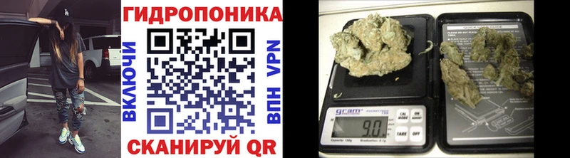 omg зеркало Киреевск Бошки Шишки тримм
